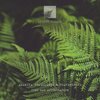Amanita Phalloides、Heavenchord - Night Sky Dreaming
