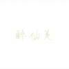 胡光渝 - 醉仙美