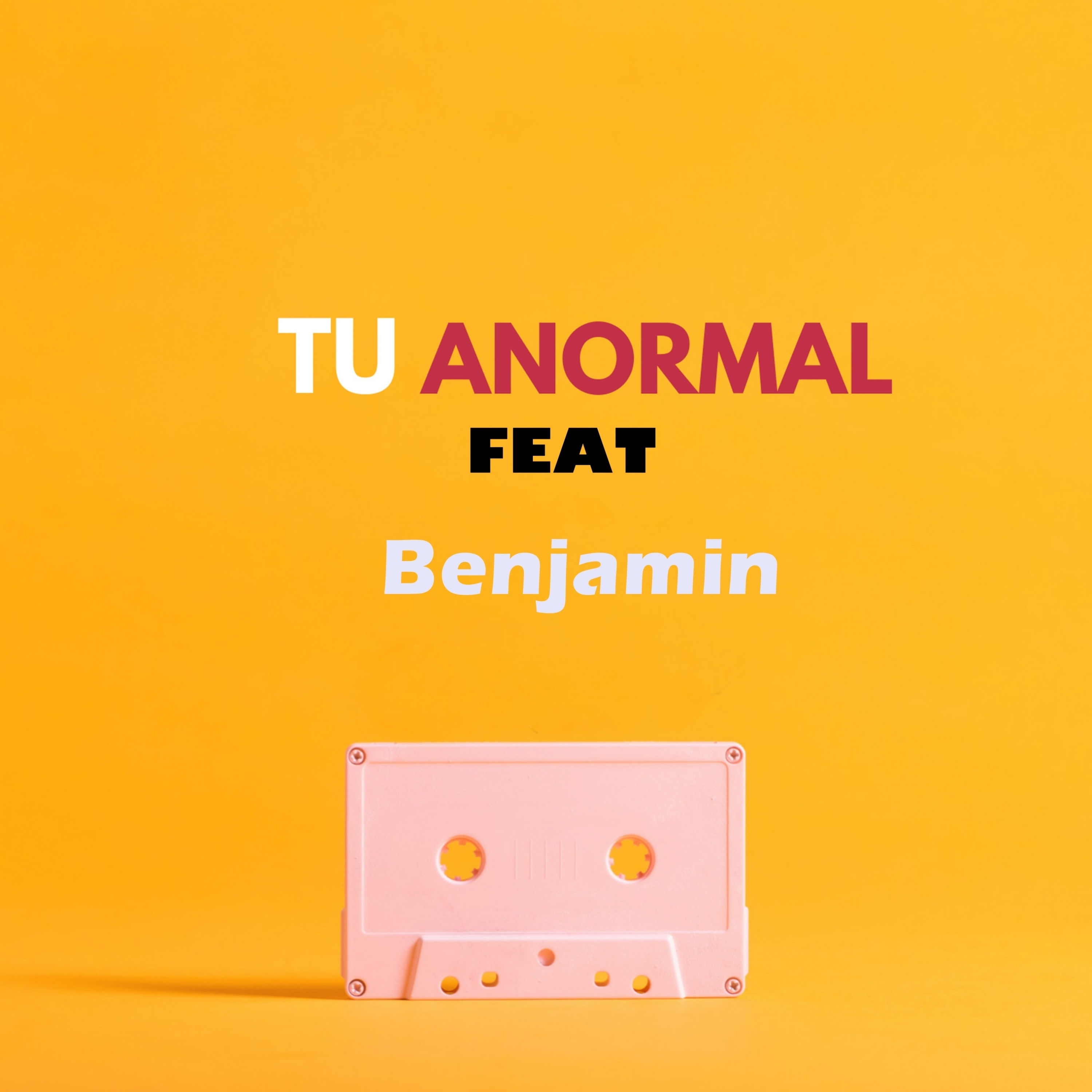tu anormal、Benjamin Peltonen - Lembra de nos