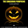 The Smashing Pumpkins - Bullet With Butterfly Wings (Live)