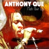 Anthony  Que《Visions of Light》[MP3/LRC]