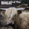 Raymond Porter - Never Mind The Bollocks