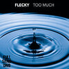 Flecky - Too Much (Original Mix)