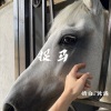 情白、诡谲 - Ride It (Remix)
