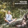 Brain Timbre、The Nature Soundscapes、Spa Music & Meditation Collective《Sounds of Meditation》[MP3/LRC]