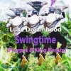 Luke Dreamhood、Playpat & King - Swingtime (Playpat & King Remix)