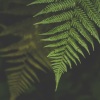 Natureza Musica Bem-Estar Academia、Zarobi、Ambient Rain - Bedtime