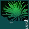 Mak5ast - Rebirth (Radio Edit)