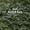 Nature Sound Fx、Rainfall Meditation Sleep、Florian Quirín - 5am Birds & Rain Pt. 20
