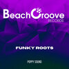Poppy Sound - Funky Roots (Original Mix)