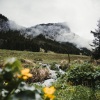 Meditação Yoga Maestro、Canciones Para Niños、Lluvia - Manta Y Confort