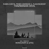 Flashingroof、Ruben Zurita、Pedro Andrade G - Tanzmanian Devil (Extended Mix)