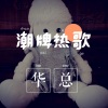 DJ华先生 - 混在江湖 (中文电摇)