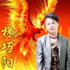 林巧阳 - 沉默是金