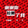 小钢炮、华子 - 谢谢你拉黑了我 (两个大叔)