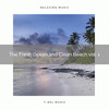 Baltic Nature Sounds - Perfect Ocean Noises of Deep Sleep with Cicadas pt. 1
