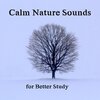Focus Skills Zone、Better Study Habits、Deep Focus - Painting, Reading, Meditating (其他)