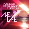 Dany P-Jazz、Fedde Le Grand、Funkerman - New Life (Radio Edit)