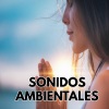 Sonido Relajante《Ambiente》[MP3/LRC]