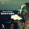 Aaron Sevilla《Guayabo》[MP3/LRC]