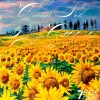 Aiemo、Radmila - Kissing You (Vocal Mix)