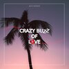 Jack Avenue - Crazy Buzz of Love (Extended Mix)