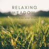 Natural Sounds Selections、Zen Sounds、Nature Sound Collection - Meadow Day