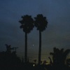 EmoFlyTrap、Goul - on nights like these i'm happy i don't own a gun. (feat. goul)(Explicit)