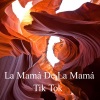 Baila、Tendencia、Disfruta - La Mamá De La Mamá Tik Tok