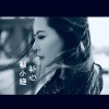 蔡小艳 - 补心