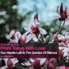 From Tokyo With Love - Lucid Dreamer