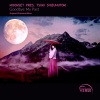 Tsuki Shizumutoki - Goodbye My Past (Orchestral Mix)