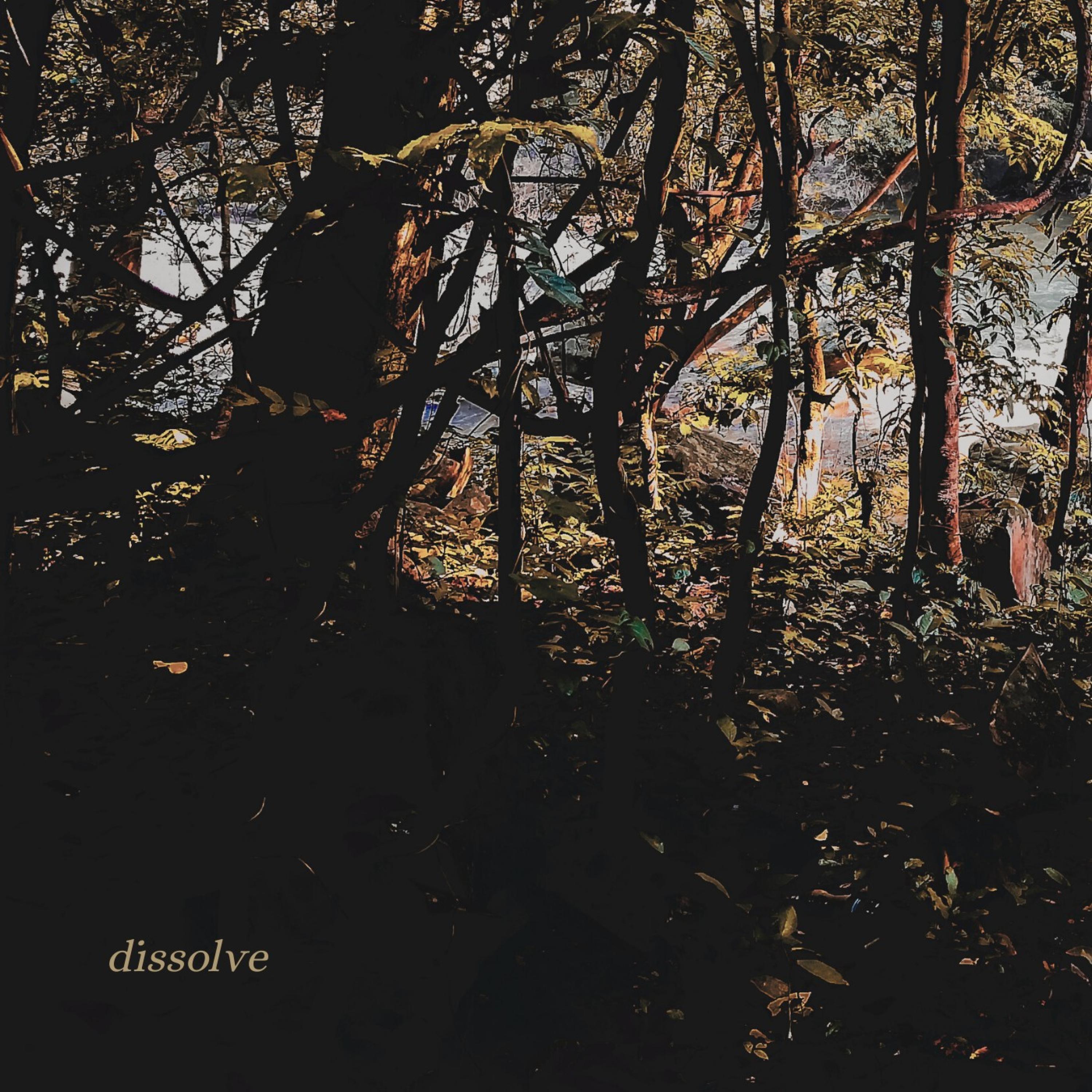 Like Luna - Dissolve