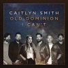 Caitlyn Smith、Old Dominion - I Can't (feat. Old Dominion)(Acoustic)