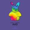 Dark Tunnes - Avid