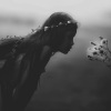 苏可可、潮音哥、安小能 - 旋律修改