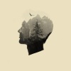 Adam Szabo、Nader Alipour、Johnny Norberg、Johan Vilborg、Kendall Brecht Shingai、Kendall Boom - Knock Me Out (ExtendedMix)