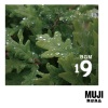 MUJI BGM - Polca a Carrasqueira