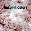 Looka - Autumn colors