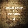 Arnaldo Antunes、Dedé Paraízo - Vi