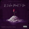 YVNGB3BY、Yung Dano、Balboa - If I Was Meant To Die (feat. Yung Dano & Balboa)(REMIX|Explicit)