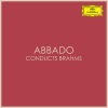 Wiener Philharmoniker、Claudio Abbado - No. 1 in G Minor: Allegro molto
