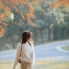 一只呆橘 - 风向仪