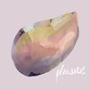 Liminal Animal - Pleasure