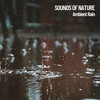 The Nature Soundscapes、Epic Soundscapes、Music for Working - Ambient Rain