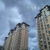张新航 - 鬼婆婆