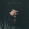 Pelícano、colours in the dark - Dance of the Falling Roses