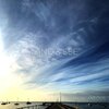 Luke Kenney、Javeria Rivas、See、Land - Spontaneous (feat. Javeria Rivas)