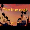 吴林毅 - The true cots