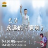 艺涛 - 家驹 (DJ贝勒版)